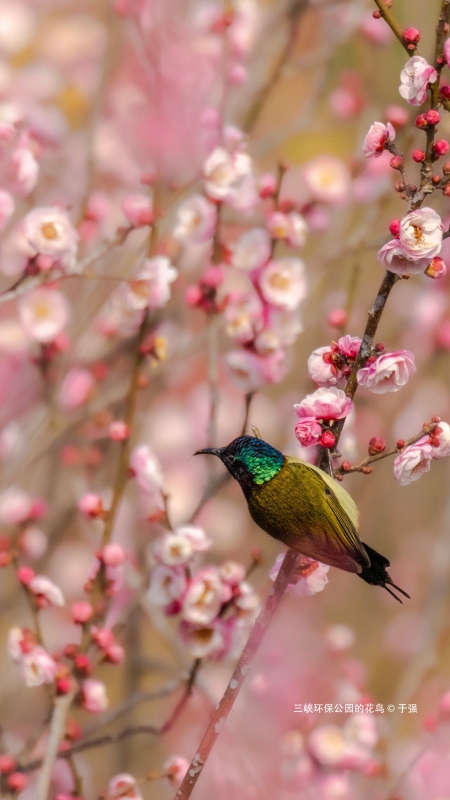 Witness spring's renewal with CTG