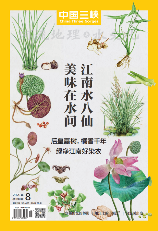 2025年第8期